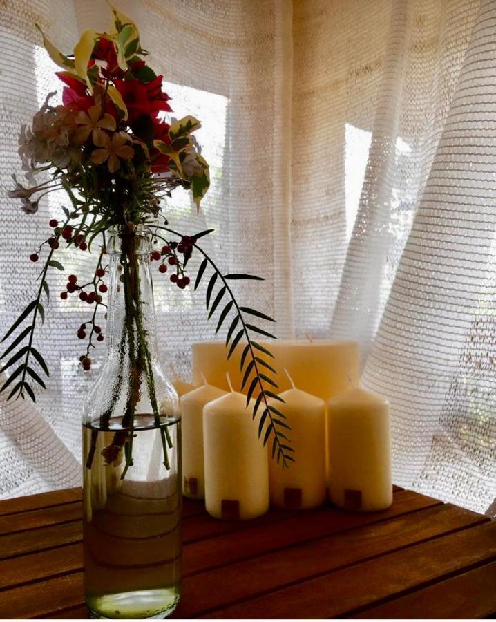 Giardino Dell'Impossibile Di Antonino Campo Apartment Фавиняна Екстериор снимка